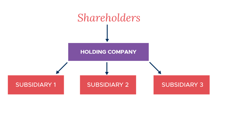 tax on holding company